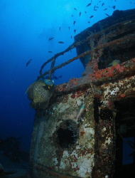 French Angel at the Wreck of the Beata in British Virgin ... by Juan Torres 